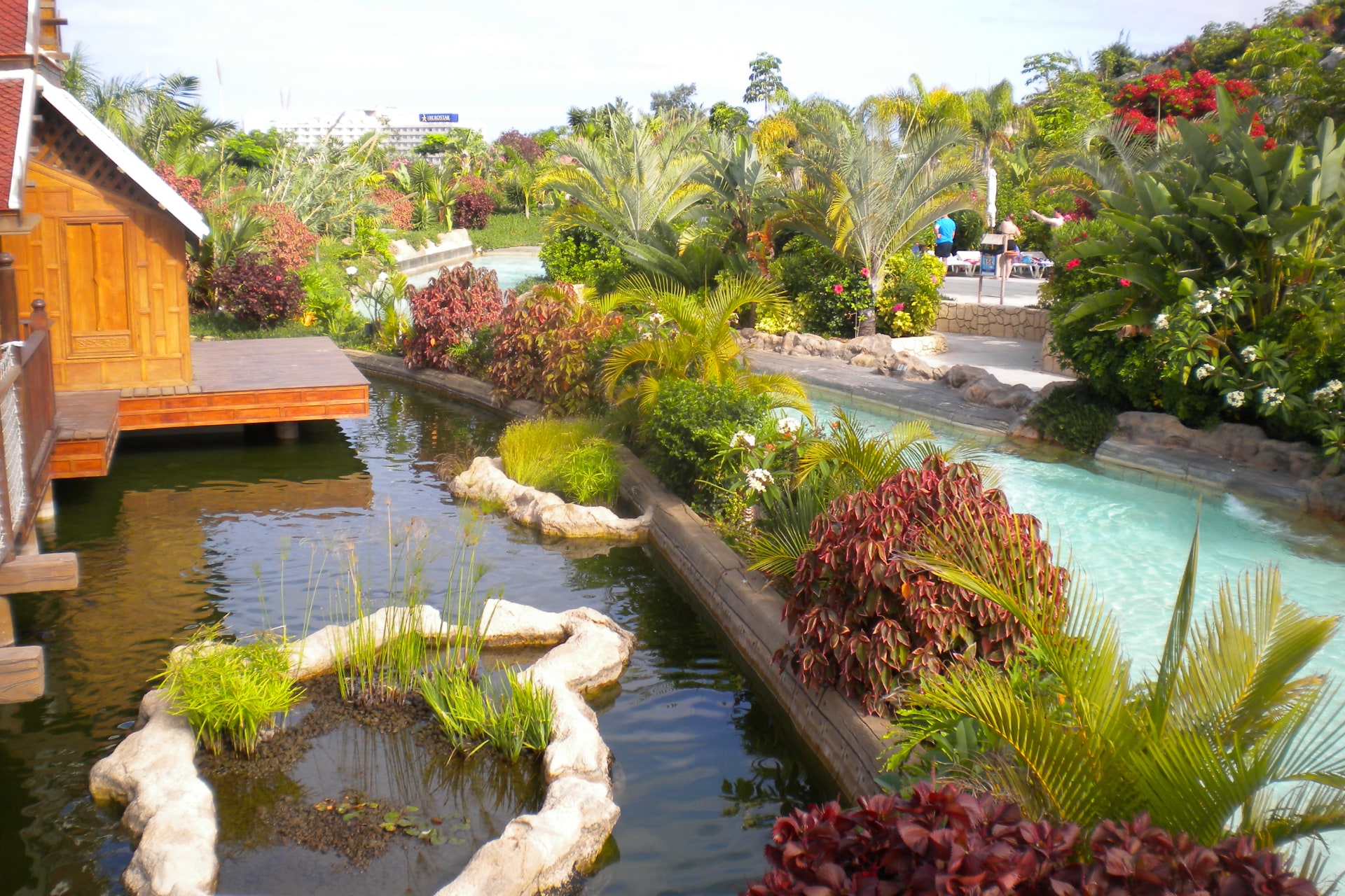 Beautiful decorative plants adorning the landscape at Siam Park, Tenerife, enhancing its natural beauty
